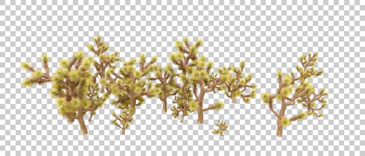 PSD bosque verde aislado en el fondo ilustración de renderización 3d