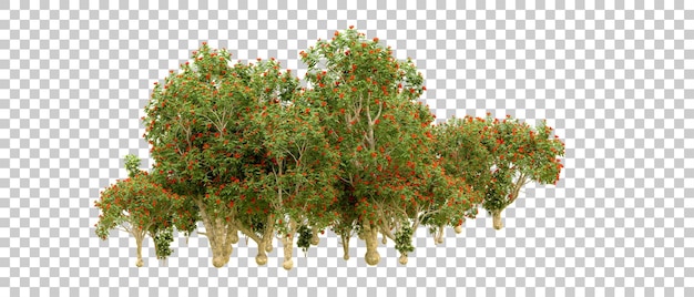 Bosque verde aislado en el fondo Ilustración de renderización 3D