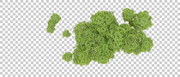 Bosque verde aislado en el fondo Ilustración de renderización 3D