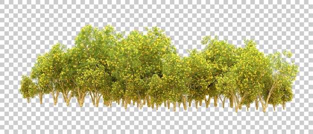 Bosque verde aislado en el fondo Ilustración de renderización 3D