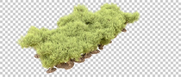 Bosque verde aislado en el fondo Ilustración de renderización 3D