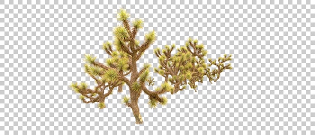 Bosque verde aislado en el fondo Ilustración de renderización 3D