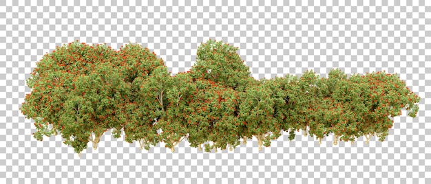 Bosque verde aislado en el fondo Ilustración de renderización 3D
