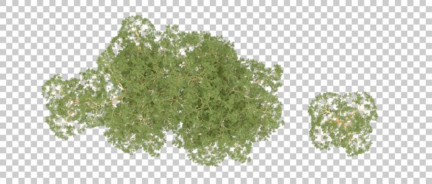 Bosque verde aislado en el fondo Ilustración de renderización 3D