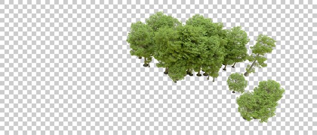 Bosque verde aislado en el fondo Ilustración de renderización 3D