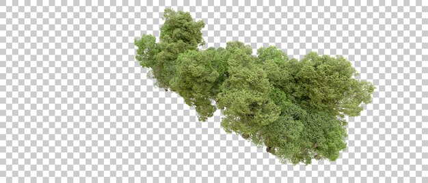 Bosque verde aislado en el fondo Ilustración de renderización 3D