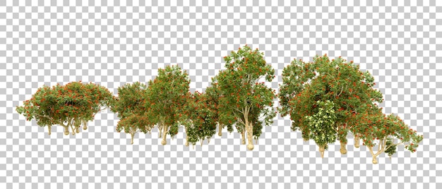 Bosque verde aislado en el fondo Ilustración de renderización 3D