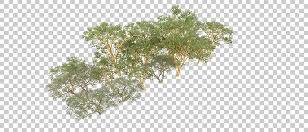 Bosque verde aislado en el fondo Ilustración de renderización 3D