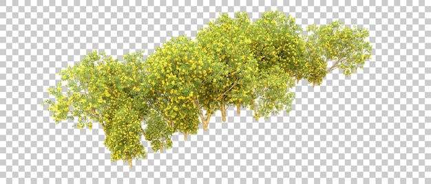 Bosque verde aislado en el fondo Ilustración de renderización 3D