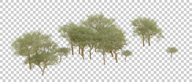 Bosque verde aislado en el fondo Ilustración de renderización 3D