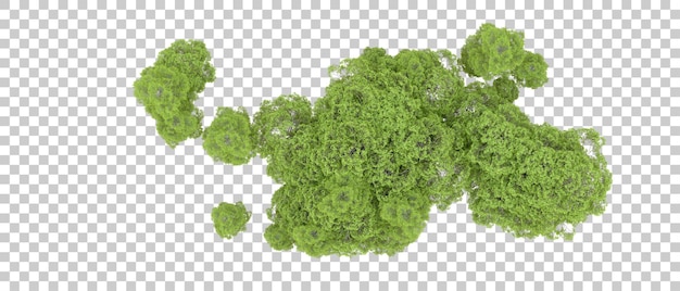 Bosque verde aislado en el fondo Ilustración de renderización 3D