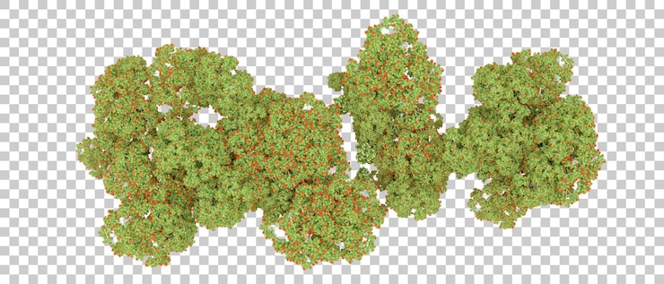 PSD bosque verde aislado en el fondo ilustración de renderización 3d