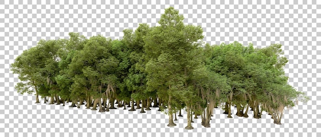 Bosque verde aislado en el fondo Ilustración de renderización 3D
