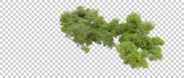 Bosque verde aislado en el fondo Ilustración de renderización 3D