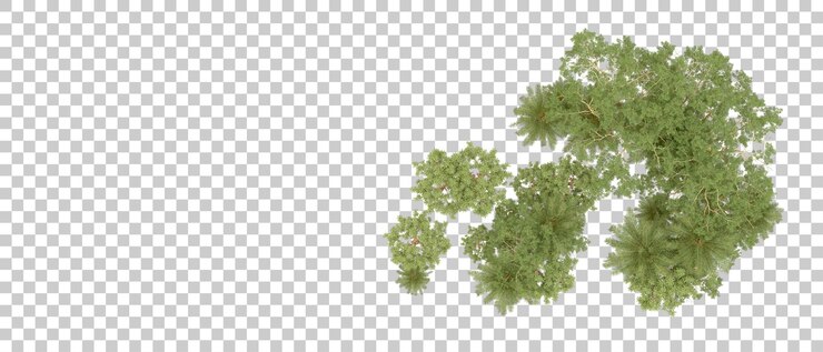 PSD bosque verde aislado en el fondo ilustración de renderización 3d