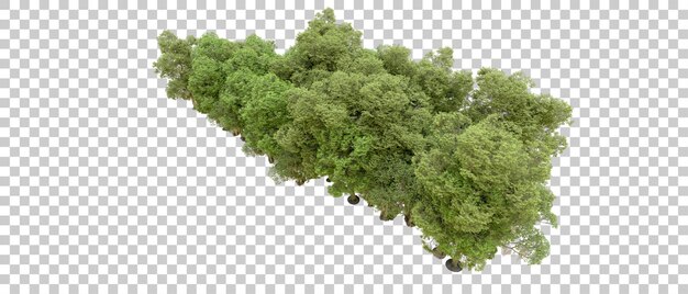 Bosque verde aislado en el fondo Ilustración de renderización 3D
