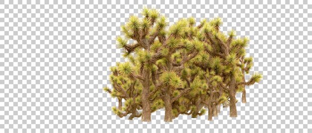 Bosque verde aislado en el fondo Ilustración de renderización 3D