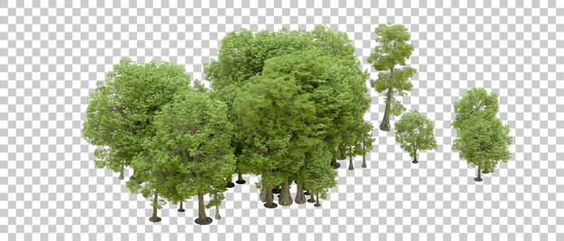 Bosque verde aislado en el fondo Ilustración de renderización 3D