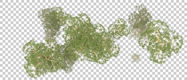 Bosque verde aislado en el fondo Ilustración de renderización 3D