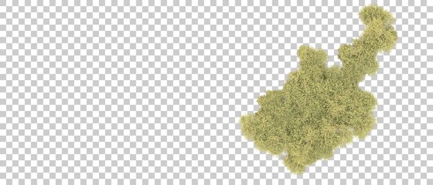 Bosque verde aislado en el fondo Ilustración de renderización 3D