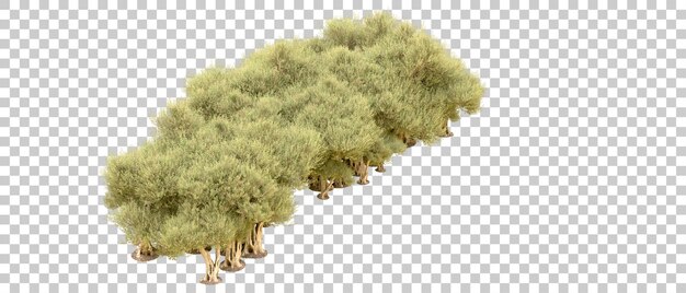 Bosque verde aislado en el fondo Ilustración de renderización 3D