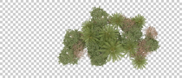 Bosque verde aislado en el fondo Ilustración de renderización 3D