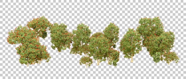 Bosque verde aislado en el fondo Ilustración de renderización 3D
