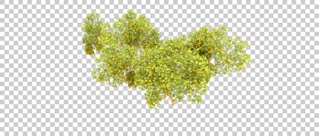 Bosque verde aislado en el fondo Ilustración de renderización 3D