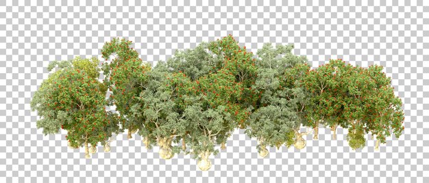 Bosque verde aislado en el fondo Ilustración de renderización 3D