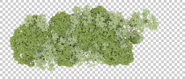 Bosque verde aislado en el fondo Ilustración de renderización 3D