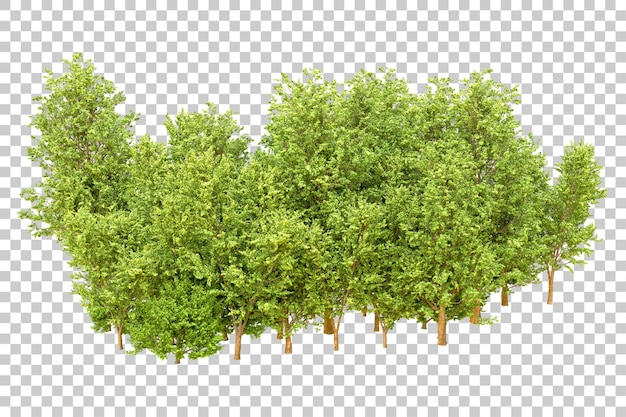 Bosque verde aislado en un fondo transparente Ilustración de renderización 3D