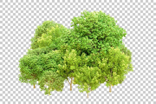 Bosque verde aislado en un fondo transparente Ilustración de renderización 3D