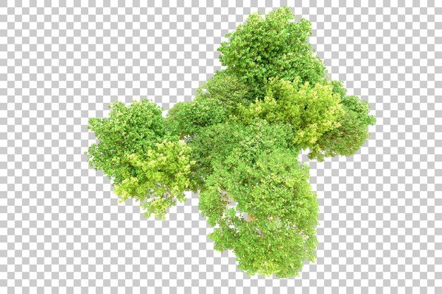 Bosque verde aislado en un fondo transparente Ilustración de renderización 3D