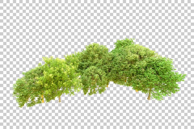 Bosque verde aislado en un fondo transparente Ilustración de renderización en 3D