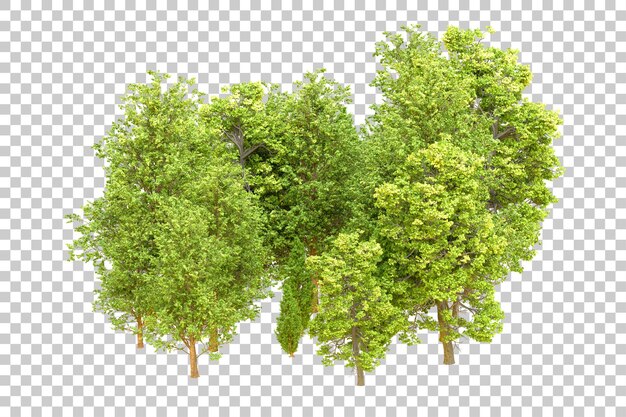 Bosque verde aislado en un fondo transparente Ilustración de renderización 3D