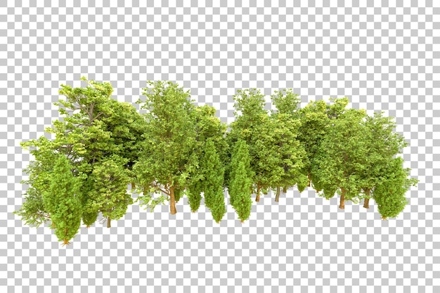 Bosque verde aislado en un fondo transparente Ilustración de renderización en 3D