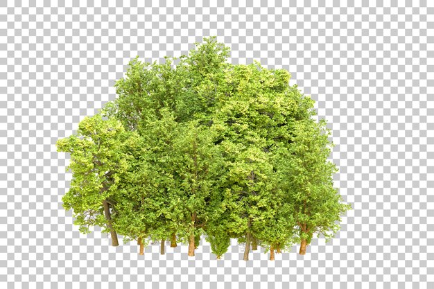 Bosque verde aislado en un fondo transparente Ilustración de renderización 3D