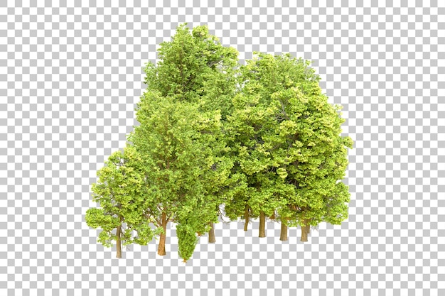 Bosque verde aislado en un fondo transparente ilustración de renderización en 3d