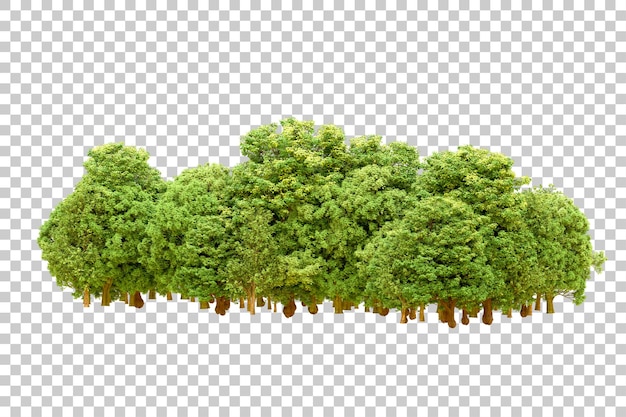 Bosque verde aislado en un fondo transparente Ilustración de renderización 3D