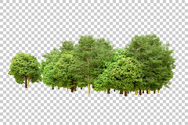 PSD bosque verde aislado en un fondo transparente ilustración de renderización en 3d