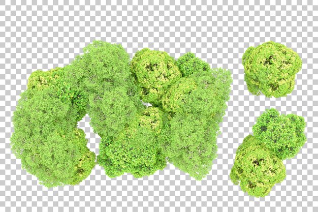 Bosque verde aislado en un fondo transparente Ilustración de renderización 3D