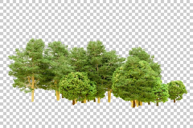 Bosque verde aislado en un fondo transparente Ilustración de renderización 3D