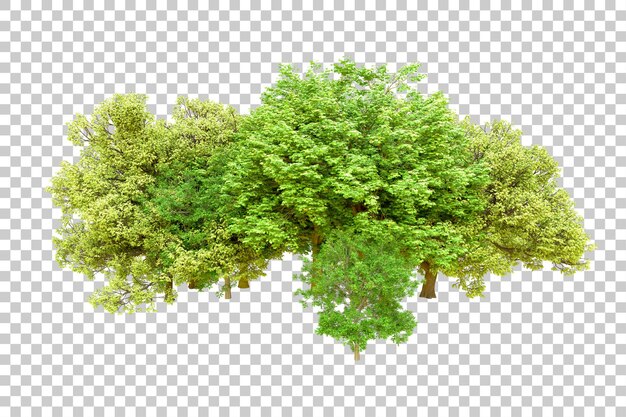 Bosque verde aislado en un fondo transparente Ilustración de renderización en 3D