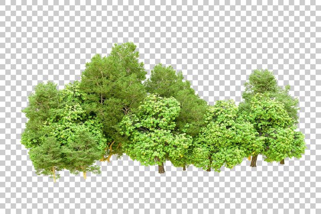 Bosque verde aislado en un fondo transparente Ilustración de renderización 3D