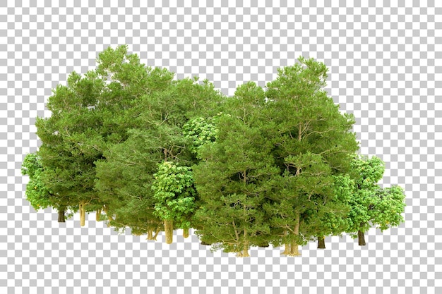Bosque verde aislado en un fondo transparente Ilustración de renderización 3D