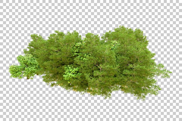 Bosque verde aislado en un fondo transparente Ilustración de renderización 3D