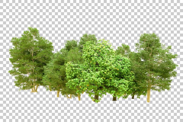 Bosque verde aislado en un fondo transparente Ilustración de renderización 3D