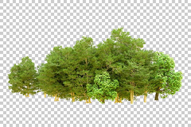 PSD bosque verde aislado en un fondo transparente ilustración de renderización en 3d