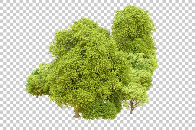 Bosque verde aislado en un fondo transparente Ilustración de renderización 3D