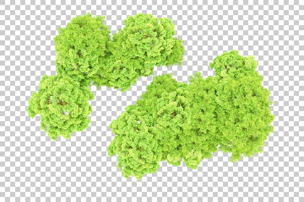 Bosque verde aislado en un fondo transparente Ilustración de renderización 3D
